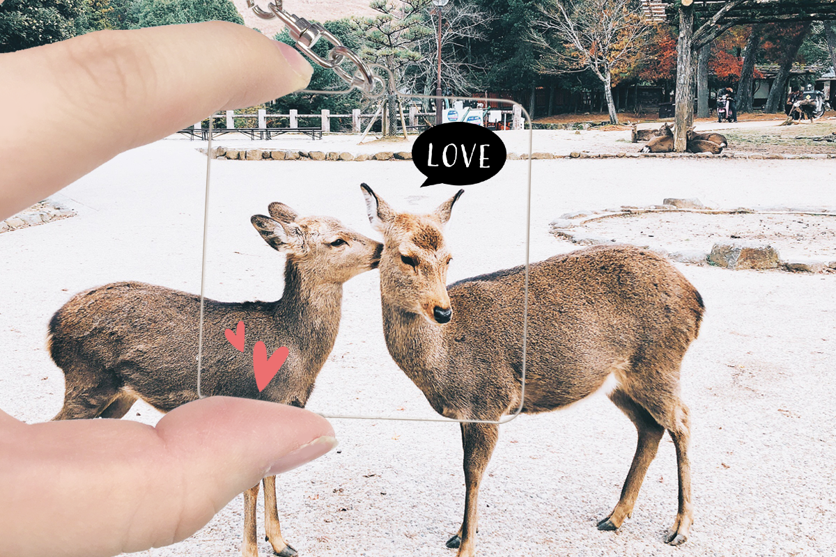 メッセージLOVE2