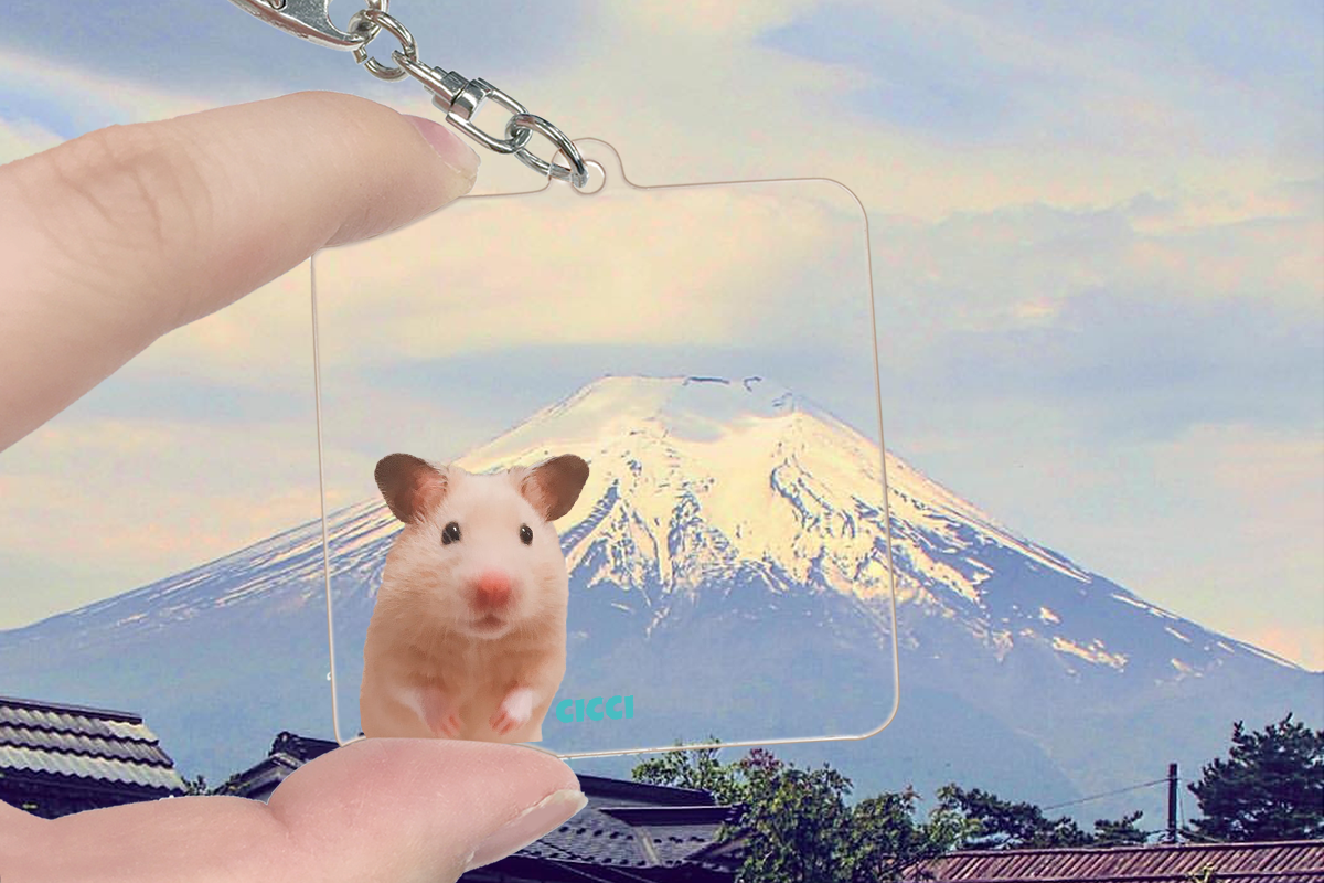 ペット