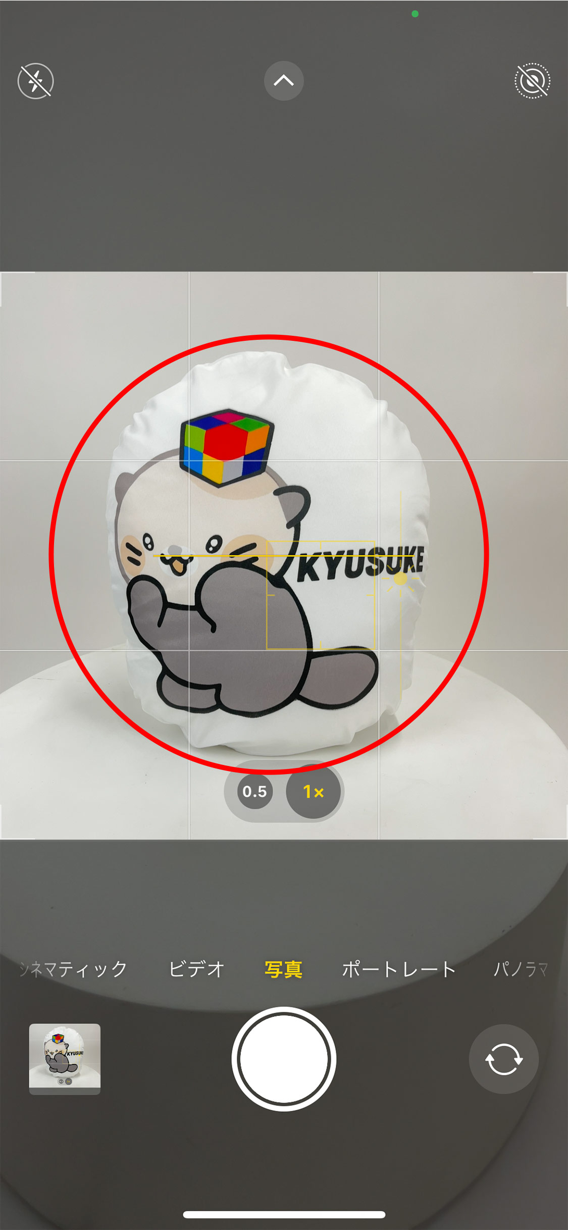 日の丸構図